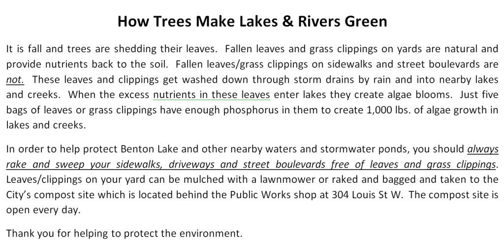 How Trees Make Lakes & Rivers Green